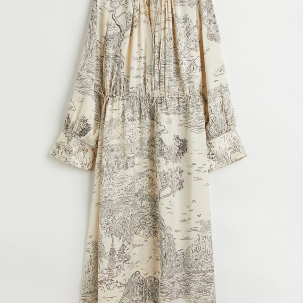 H&M Drawstring Dress